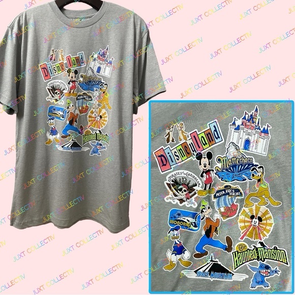 Disneyland Resort Mickey & Friends Gray Graphic T-Shirt - Picture 1 of 3
